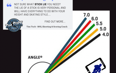 Stick Lie – Which one is right for you?