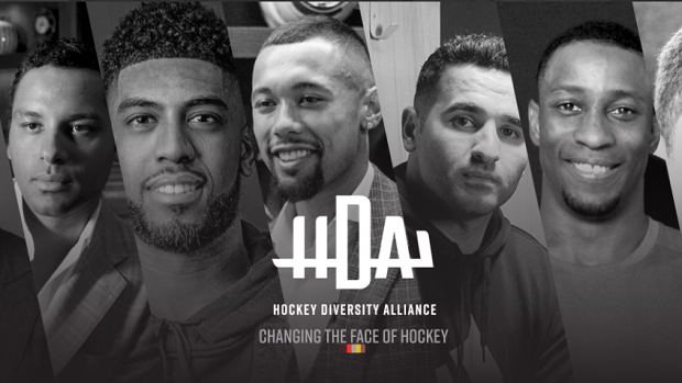 Diversity in Hockey